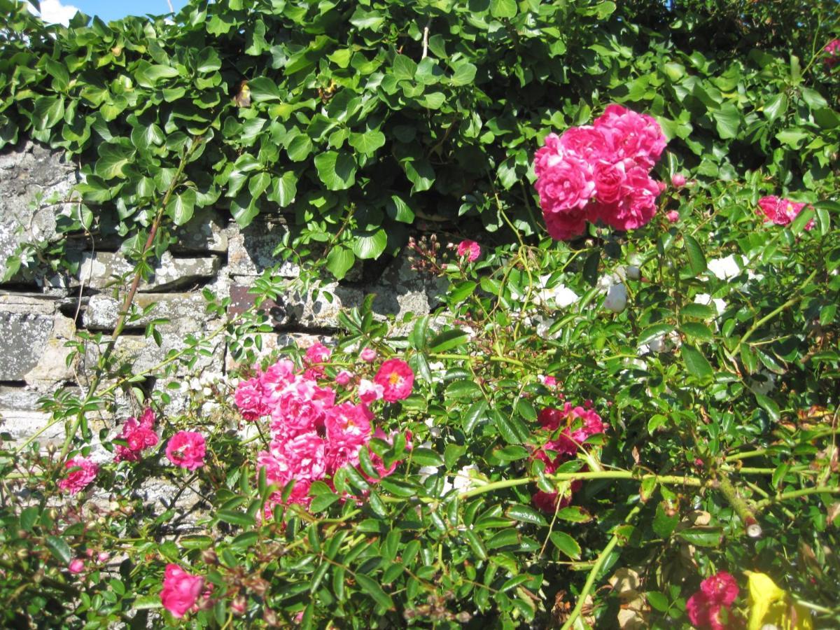 Colebrook Cottage Isle of Whithorn Exteriér fotografie